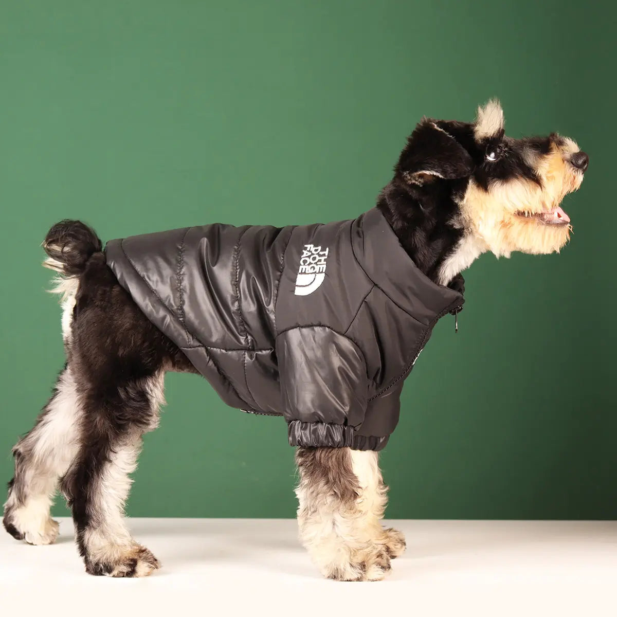 Warm Windproof Winter Jacket