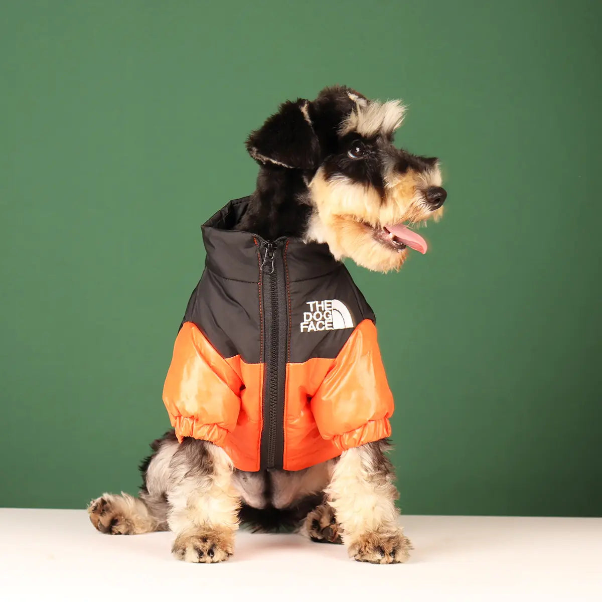 Warm Windproof Winter Jacket