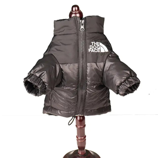 Warm Windproof Winter Jacket