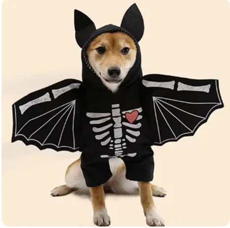 Bat Wings Costume