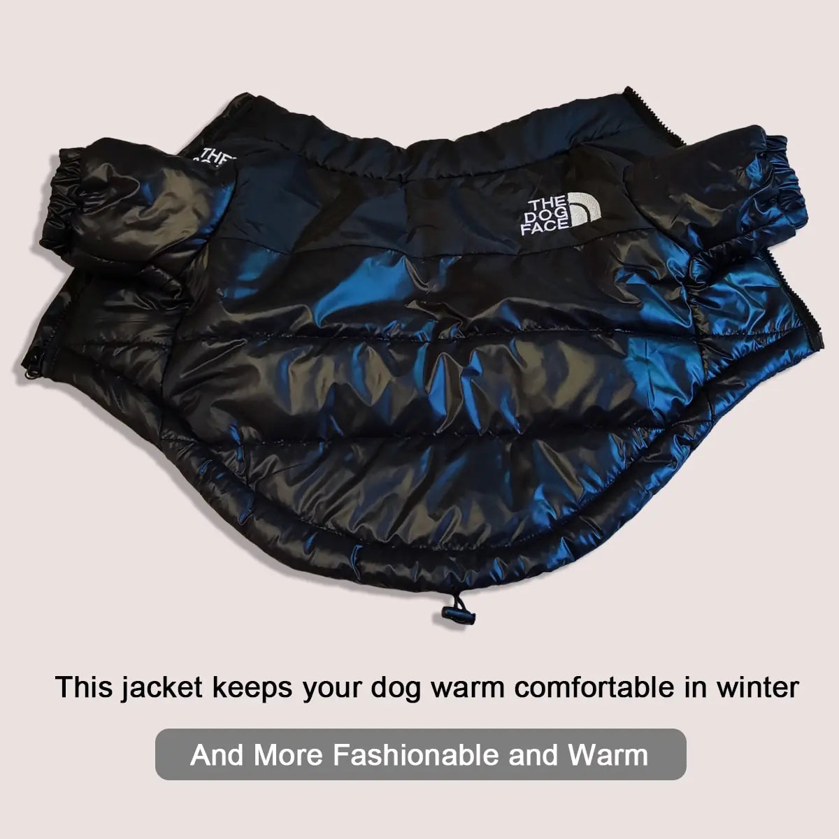 Warm Windproof Winter Jacket