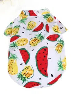 Summer Fun Shirt