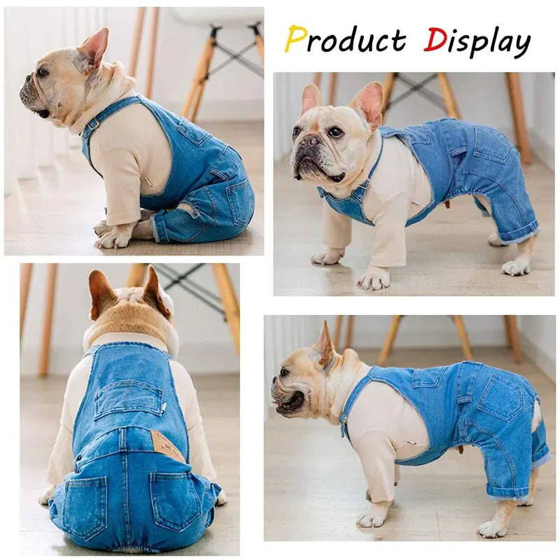 Denim Jumpsuit