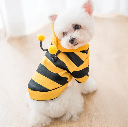 Cute Bumblebee Sweater